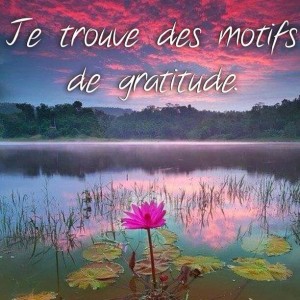 gratitude je trouve des motifs